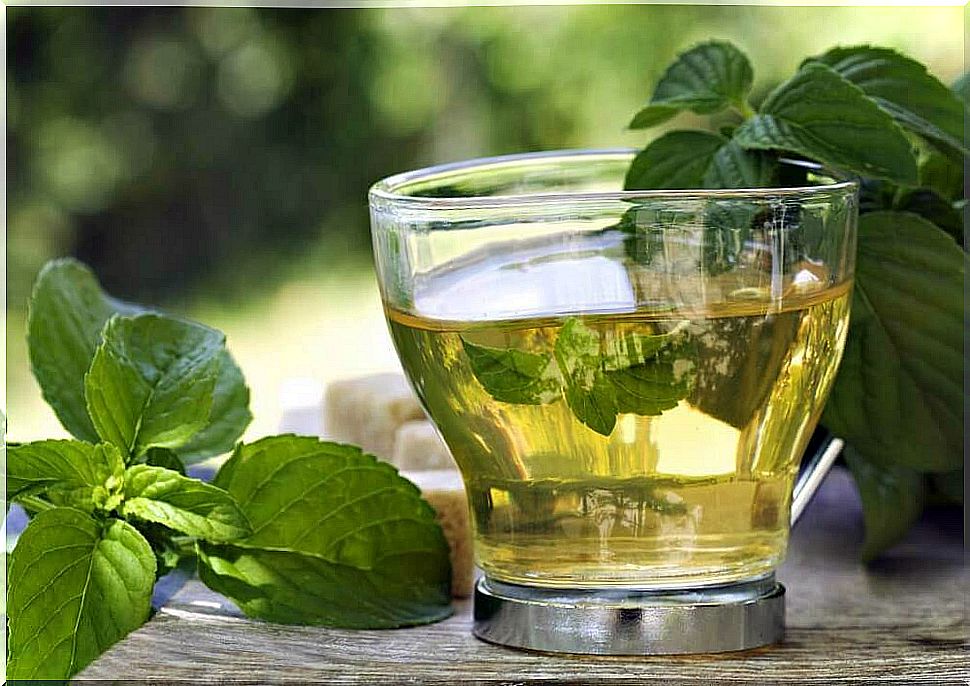 green tea to treat inflamed liver