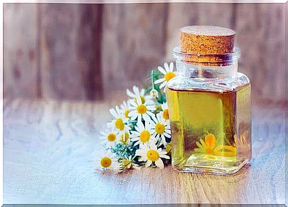 chamomile oil