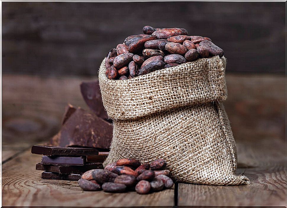 Cocoa: energy foods