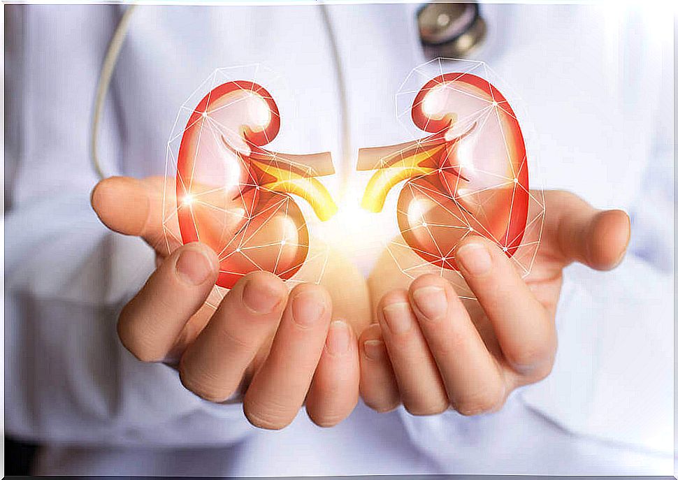 7 key tips for taking care of your kidneys