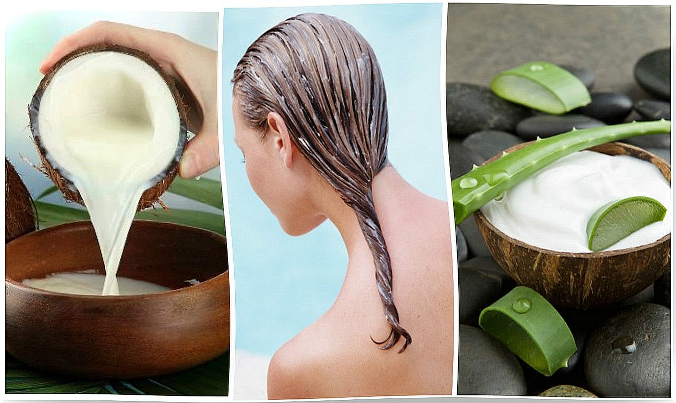 Fight hair loss with this aloe vera and coconut milk treatment