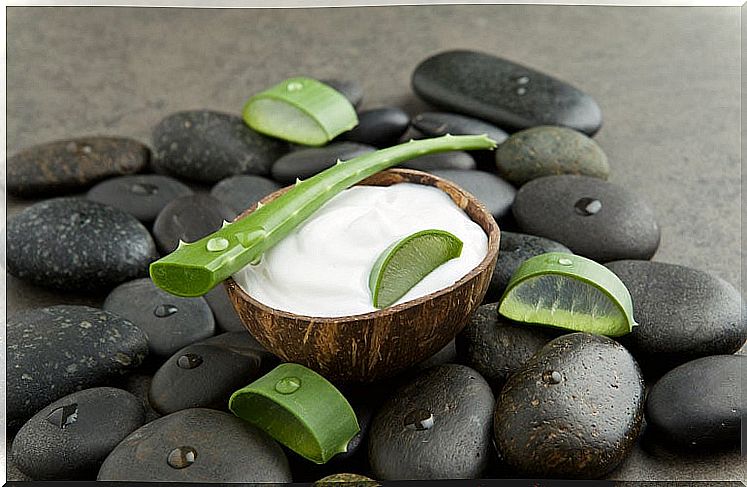 aloe vera and coconut milk treatment