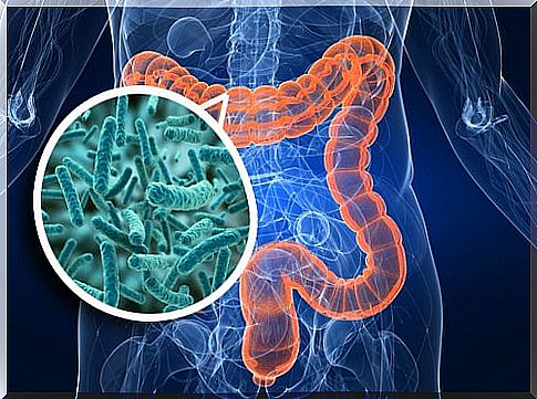 Do you want to improve your health?  Start with your intestines