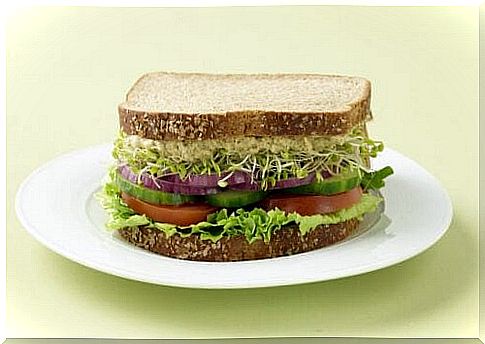 vegetarian sandwich