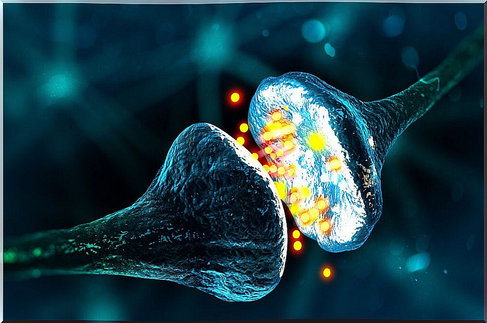 Neurotransmitters 