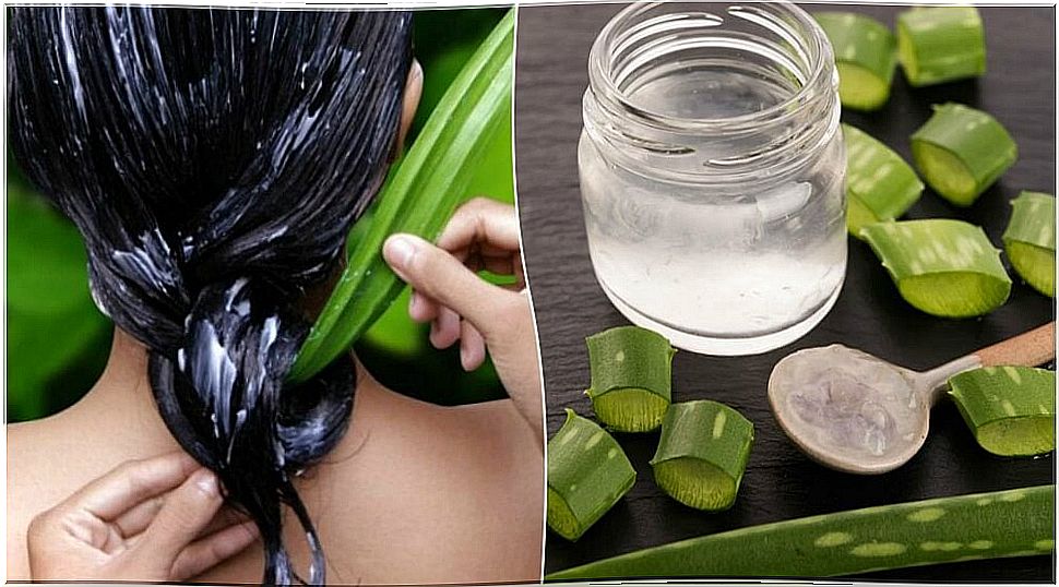 How to have healthier hair using aloe vera?