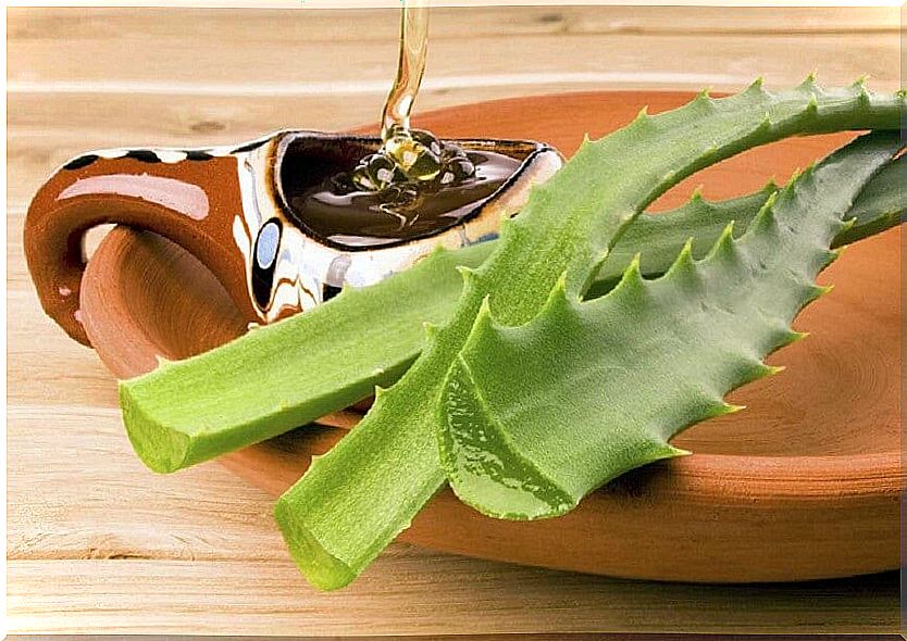 aloe-vera-honey-remedy