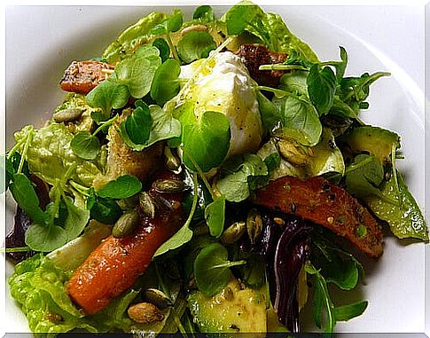 Salad with avocado and honey mustard sauce