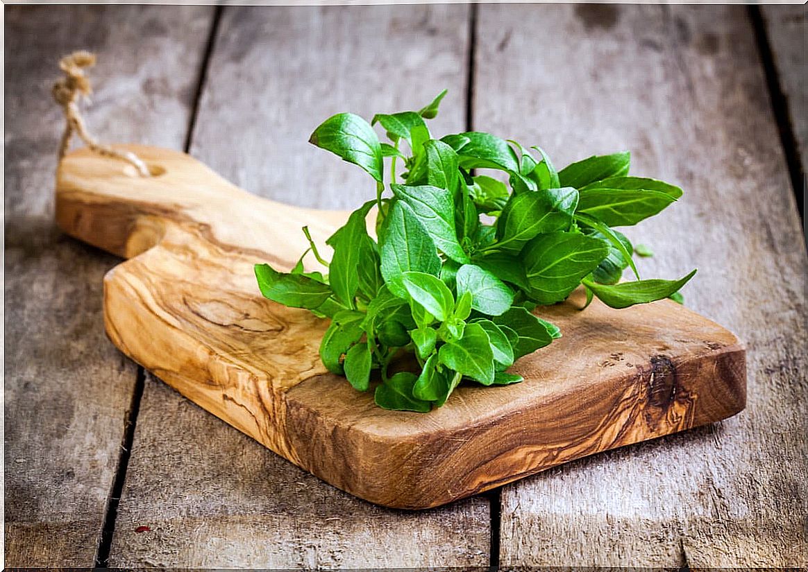 Basil on table.