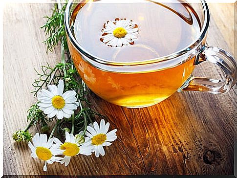 Chamomile (2)