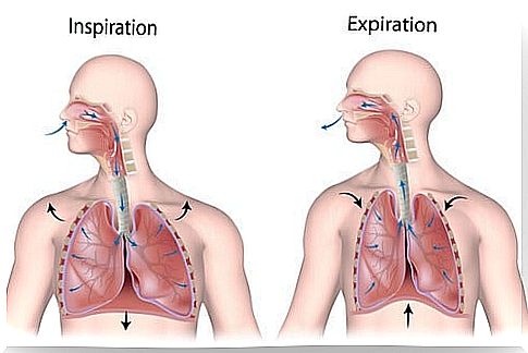 Diseases of the respiratory system