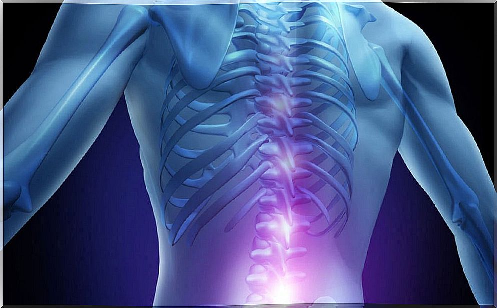 Spinal cord regeneration is being investigated