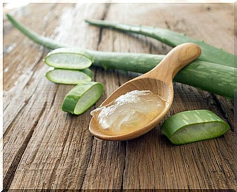 The aloe vera plant has anti-inflammatory benefits that can help you deal with the feeling of tired legs.