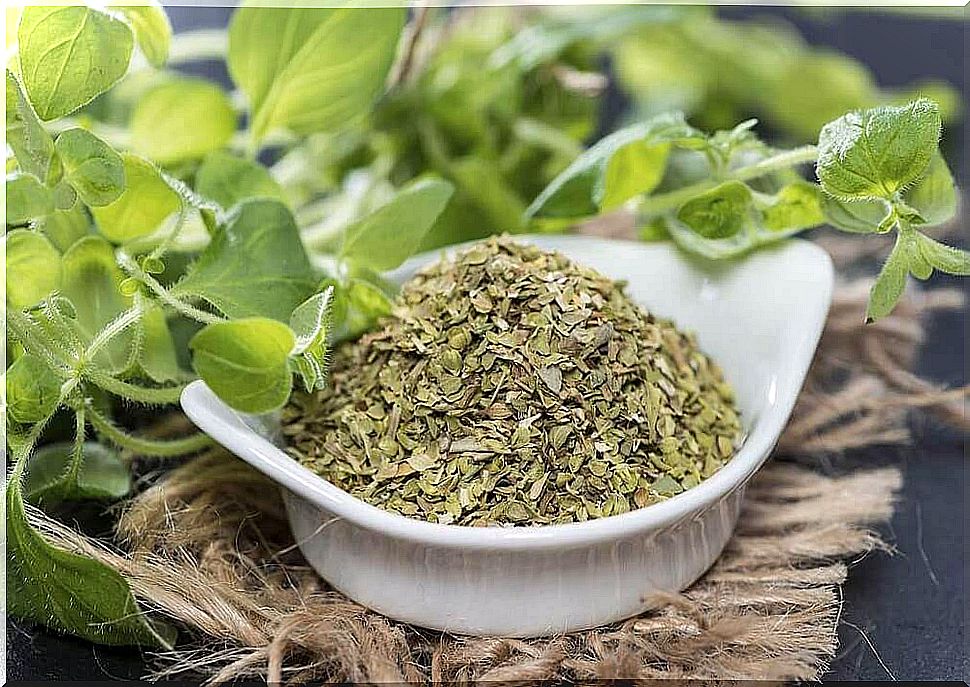 Oregano