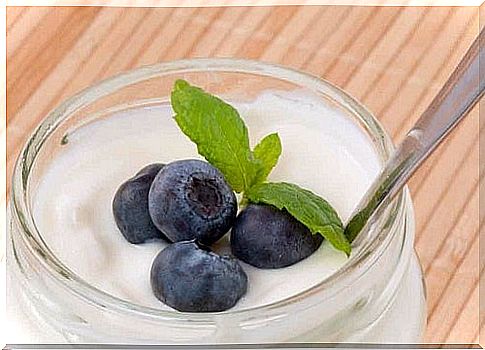 Yogurt is a probiotic.